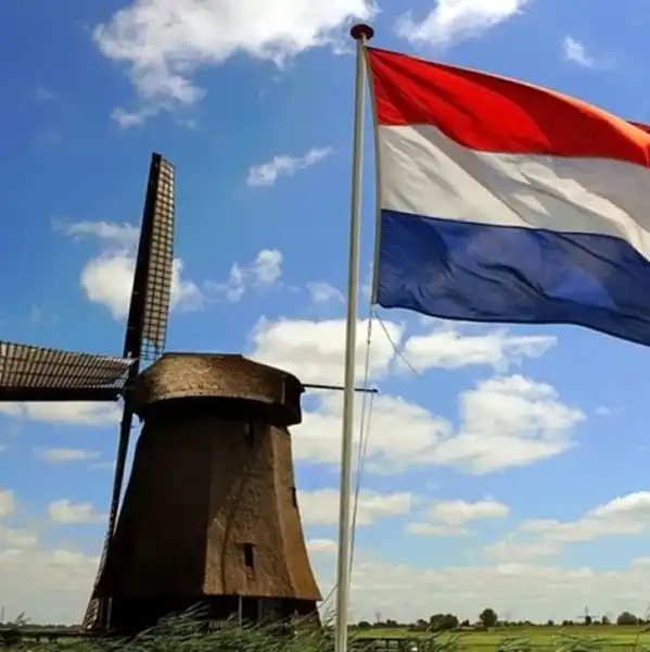 Нідерланди